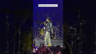 Still Rollin Shubh Live Concert Dubai 🚀 #trending #shubh #stillrollin