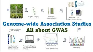 Genome wide association studies: All about GWAS Technique in Molecular Plant Breeding