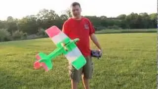 EZ Fly Flight Review