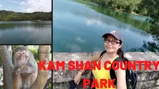 KAM SHAN COUNTRY PARK #hongkong #adventure #explore #hkvlog