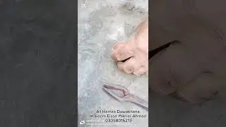 Warqia ka Rangeen Metal | Hk Essa Iftkhar Sanyasi| Okara Mega Workshop |