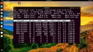 Linux   Processes   ps, top, htop, atop