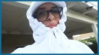 Dealing with a Wasps Nest!
