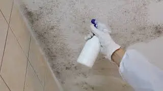Water damage Haddonfield | 856-942-4219 | BKP - Mold Removal & Mold Remediation Services Co, NJ