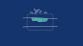 Technology CUT - Synthetic bone substitute with antimicrobial properties