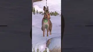 Snow Hare Hunting 🐰🍎🥕 call of the wild #hunt #shorts #youtubeshort #game #gameplay #wildlife