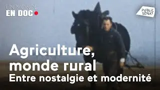 Un monde en doc : Agriculture, monde rural, entre nostalgie et la modernit&eacute;