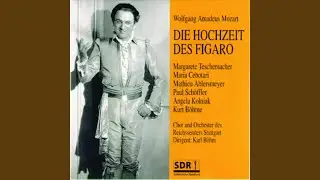 Ungl&uuml;cksel`ge kleine Nadel (Die Hochzeit des Figaro)