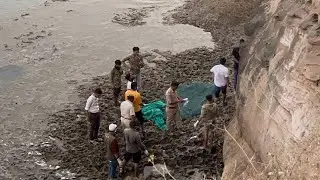 દીવ કિલ્લા પાસે દરિયા ની ભાઠ મા મૃત્ હાલત માં સિંહણ મળતા વન વિભાગે રેસ્ક્યુ કર્યુ. #shakilkashmani 