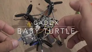 How to install Caddx Baby Turtle in a Toothpick (Larva-X)