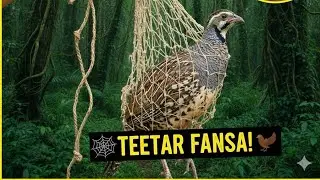 سارے دن کی محنت آخر کار تتر پکڑ لیا اور بھون کر کھایا!