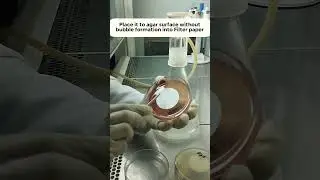 Filter Paper on Agar Plate  | Bio burden by Filtration Method