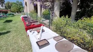 Huntington Gardens Bonsai-A-Thon tree sale preview 2022 part 5