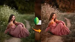 Snapseed Dark  Brown Photo Editing || Snapseed Photo Editing Trick || Lightroom Photo Editing