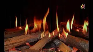 Trimline iX10 Solus Electric Fireplace &ndash; Log Positioning Guide 🔥
