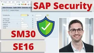 Providing Secure Access to SM30 and SE16 - SAP Security
