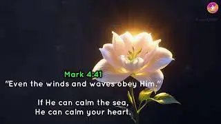 Peaceful Bible Life Lessons for a Calm & Relaxed Mind | Christian Encouragement Live