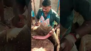 KASIMEDU SPEED SELVAM FISH CUTTING VIDEO #kasimeduselvam #bigfishcutting #selvamfastfishcutting
