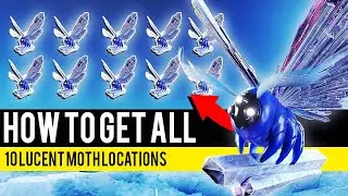 All 10 Lucent Moth Locations! Lepidoterist Triumph Guide | Destiny 2 Witch Queen