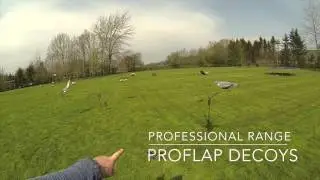 NEW Lightweight Pigeon Magnet from A1 Decoy - PIGLW