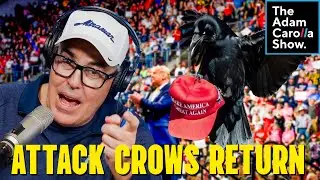 Man Trains Crows to Attack MAGA Hats+MLK Day Becomes Palestine Propaganda