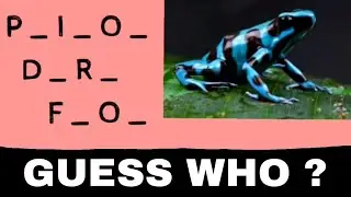 Part 2 - know about these amazing rainforest creatures🐯🐬/ guessing game / find the mind