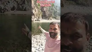 #crocodile #marchula #crocodiles #crocodilepointmarchula #uttarakhand #animals #animal #crazy#nature