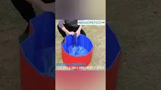 Portable pet pool to keep your furry friend cool this summer!