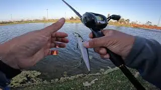 Mont Belvieu City Park Pond Fishing!