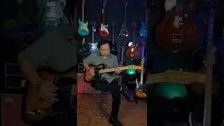 YMS Guitars TL SE FM T Style Original Made In Indonesia Rp. 7.000.000O