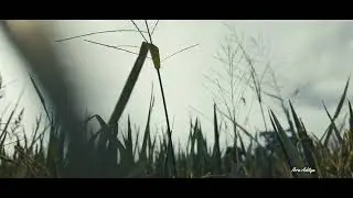 Video Sinematik Alam di Tempurejo Kediri - Part 2