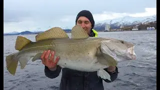Torskefeber i Ålesund (full episode)