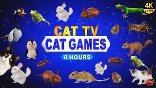 CAT TV 4K 60FPS | Best Videos for Cats to Watch 😻 8 HOURS Cat Games with Birds, Lizards & Bugs