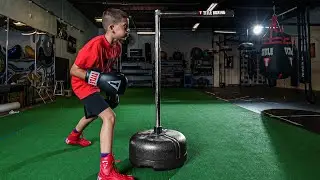 TITLE Freestanding Rapid Reflex Boxing Bar #ZFSRRB