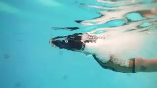 Scooter fixed on your arm, DCCMS underwater scooter