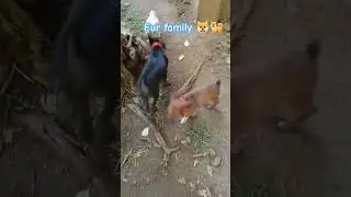 Askal dogs #dogs #viral