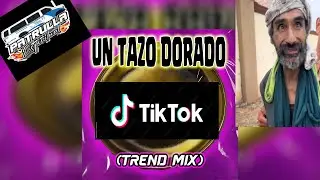 COQUETO ERES UN TAZO DORADO - Gabo Herconz (Tiktok Remix) 2024 - GUARACHA - ALETEO - MUSICA DE ANTRO
