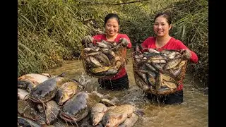 Catching Tons of Fish in a Small Muddy Stream