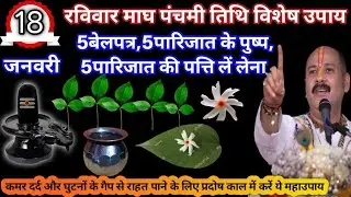 18 जनवरी रविवार माघ पंचमी तिथि को 5बेलपत्र 5पारिजात के पुष्प 5पारिजात की पत्ति वाला विशेष उपाय करें|