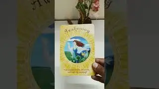 Message from your higher self 💫#cardreading #shorts #higherself #message