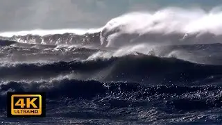 Calming waves: A Mindful and Relaxing Day at the Ocean