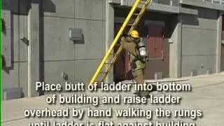 Straight Ladder