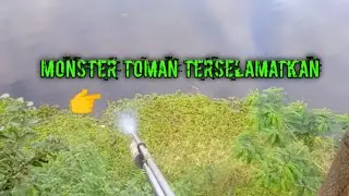 DASYATNYA TARIKAN MOSTER TOMAN..!!
