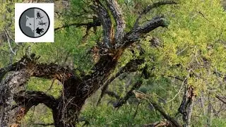 What is it ? - Week no.58 - Films Nature Web TV