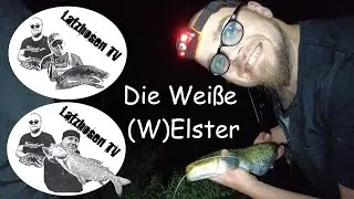 Die Weiße (W)Elster