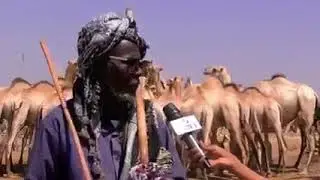 ceelka degmada shilaabo ee gobolka quraxeey oo la boqday