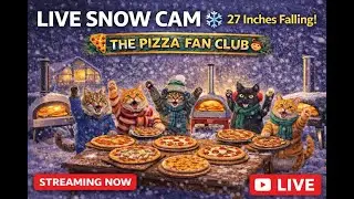 LIVE Snow Cam ❄️ 27 Inches Falling | Paw Syndicate Backyard (Pizza Fan Club)
