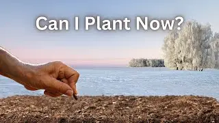 Can You Plant In Cold Soil