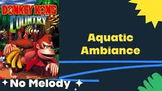 Donkey Kong Country - Aquatic Ambiance (melody removed) Backing Track