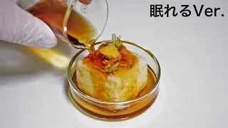 揚げ出し豆腐 眠れるVer.